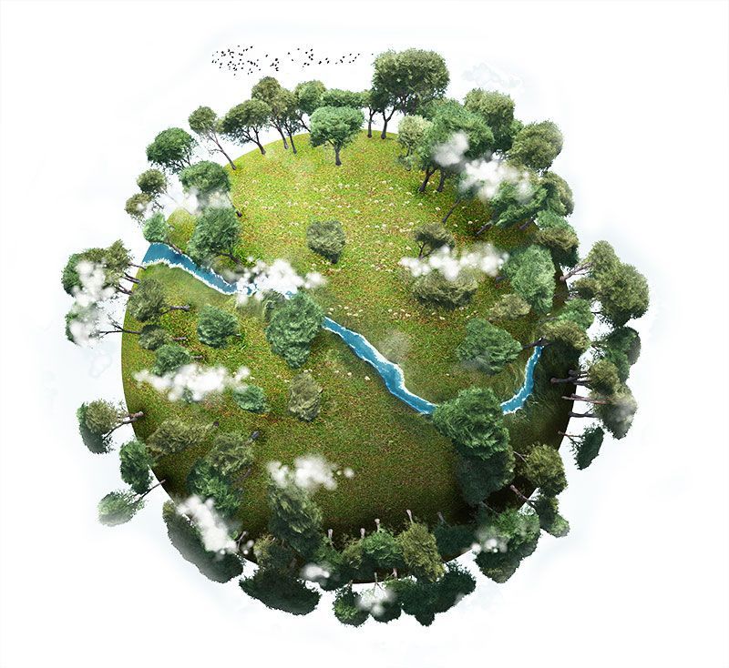 medioambiente